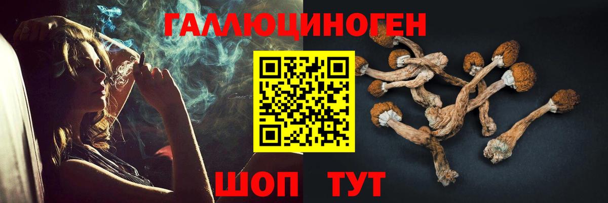 Нижний Тагил  Псилоцибиновые грибы MAGIC MUSHROOMS  купить наркотик  Вход с VPN 